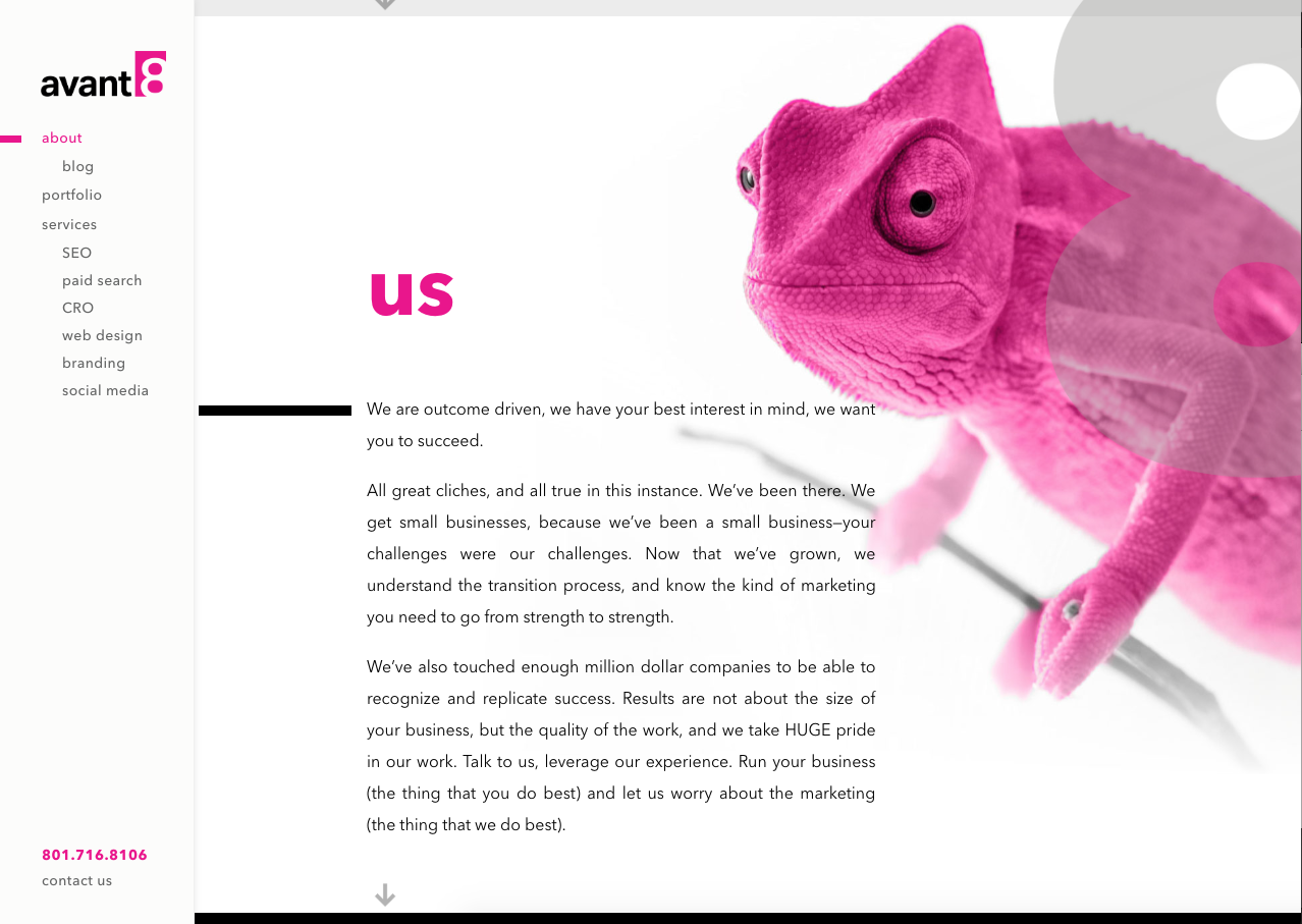 Avant8 web sample - pink chameleon